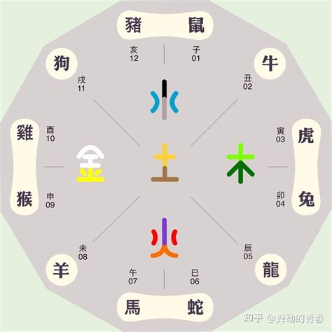 午 五行